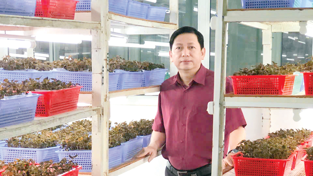 Nhà khoa học say mê nghiên cứu lan Gấm