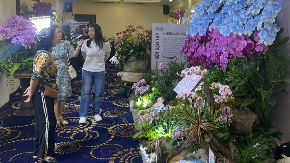 Tích hợp giá trị cho hoa lan Đà Lạt
