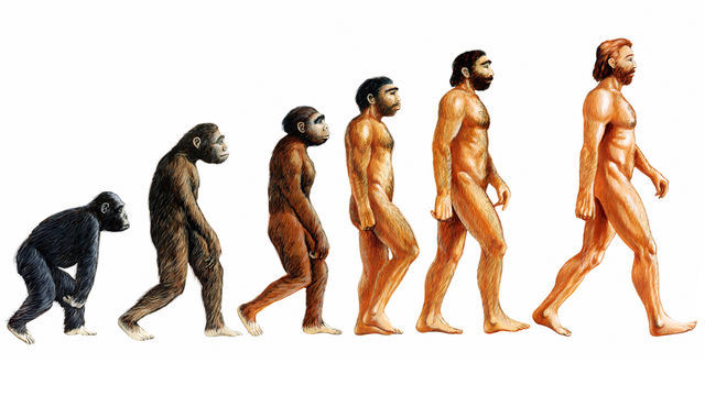 Nghiên cứu mới giúp mở rộng thuyết tiến hóa của Darwin
