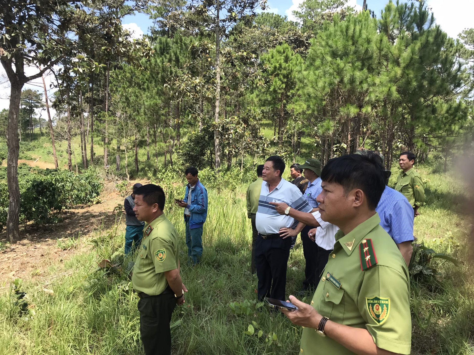 Kiểm tra công tác quản lý và bảo vệ rừng tại Đức Trọng