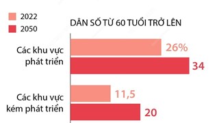 Dân số thế giới từ 60 tuổi trở lên tăng gấp đôi vào năm 2050