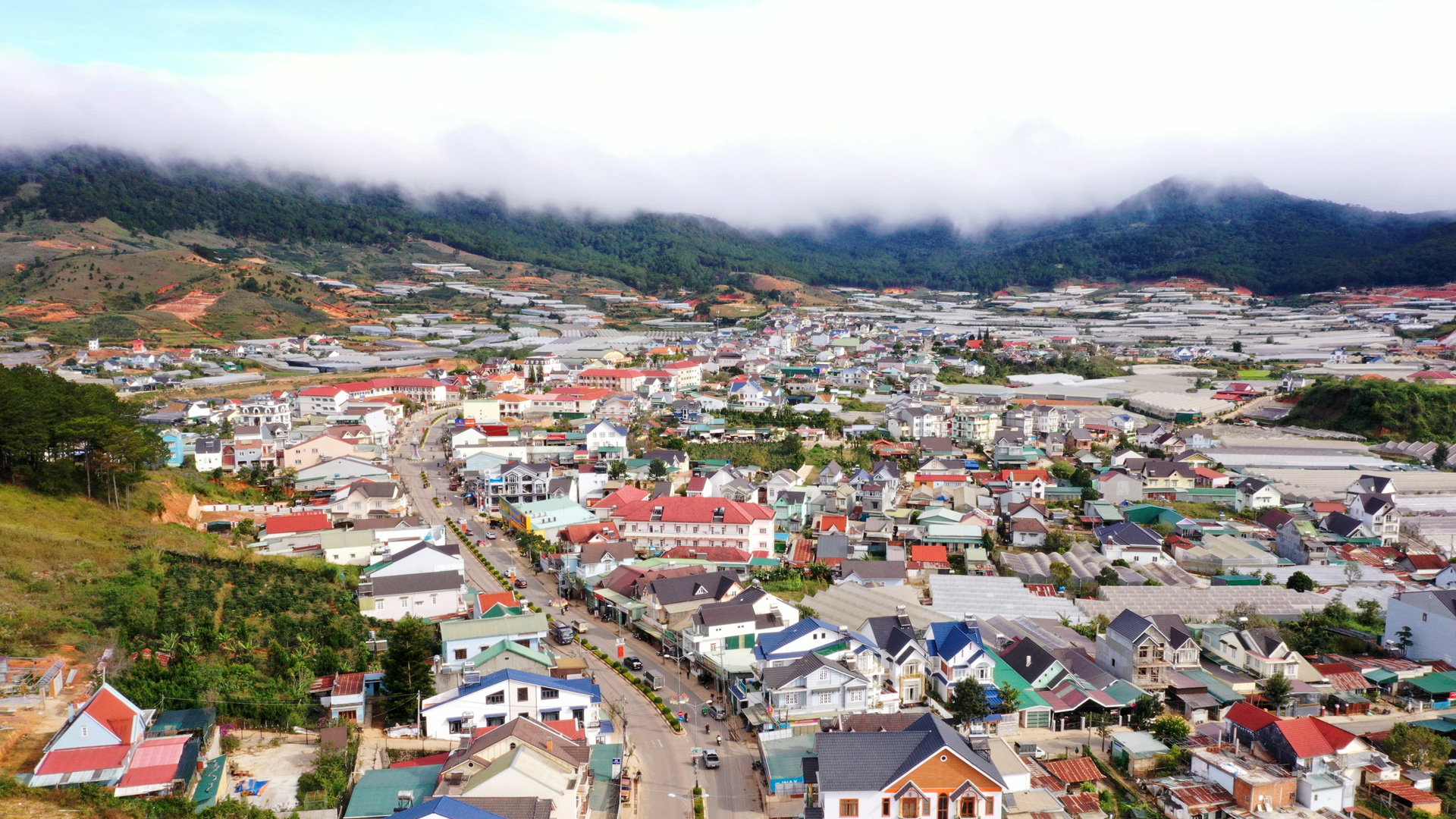 Lạc Dương: Chuyển biến từ Kế hoạch số 59
