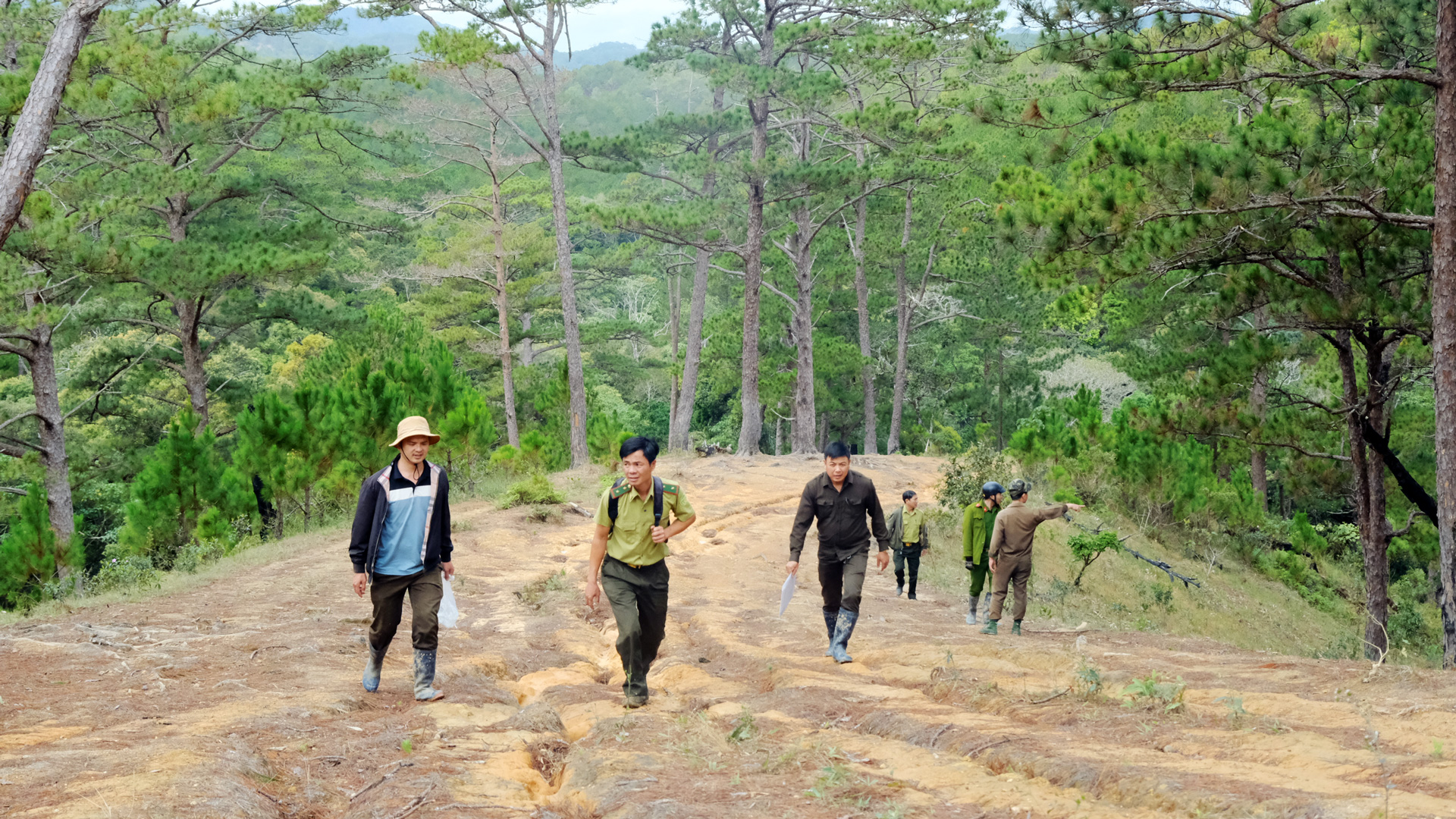 Đẩy mạnh giữ rừng vùng giáp ranh