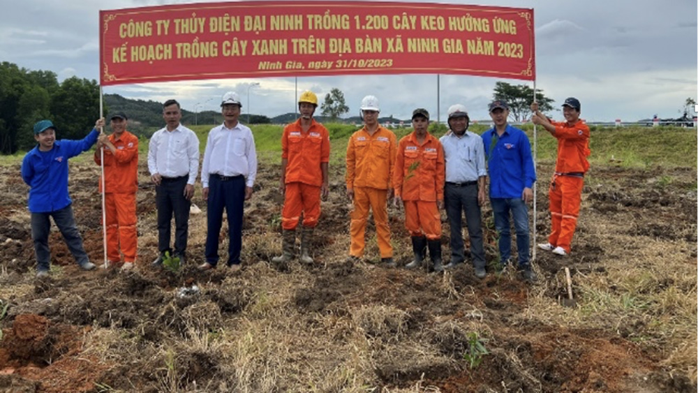 Công ty Thuỷ điện Đại Ninh hưởng ứng phong trào Tết trồng cây