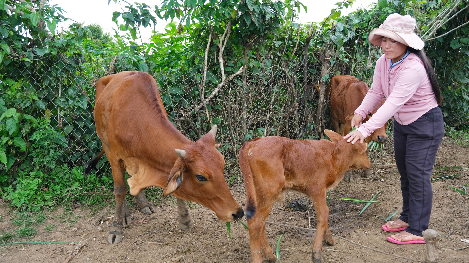 Khi người dân được tiếp cận các nguồn vốn vay