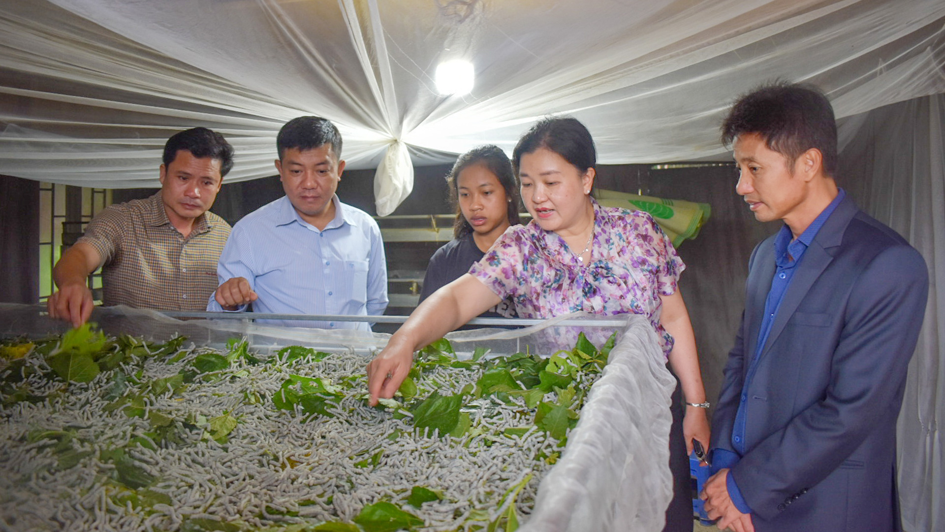 Phi Liêng: Đổi thay từ cây dâu, con tằm