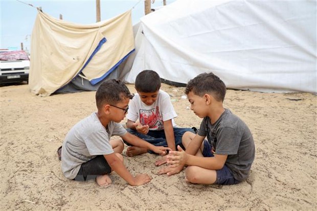 WHO cảnh báo nguy cơ xảy ra thảm họa y tế công cộng ở Dải Gaza