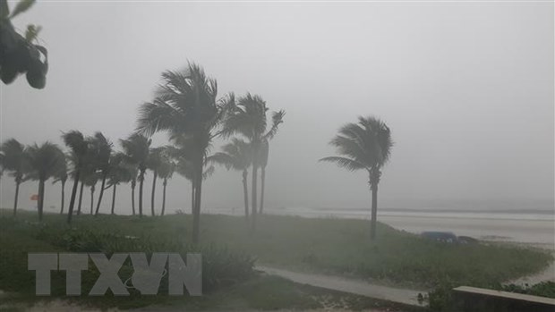 Thông tin mới nhất về đợt mưa lớn diện rộng khốc liệt ở miền Trung