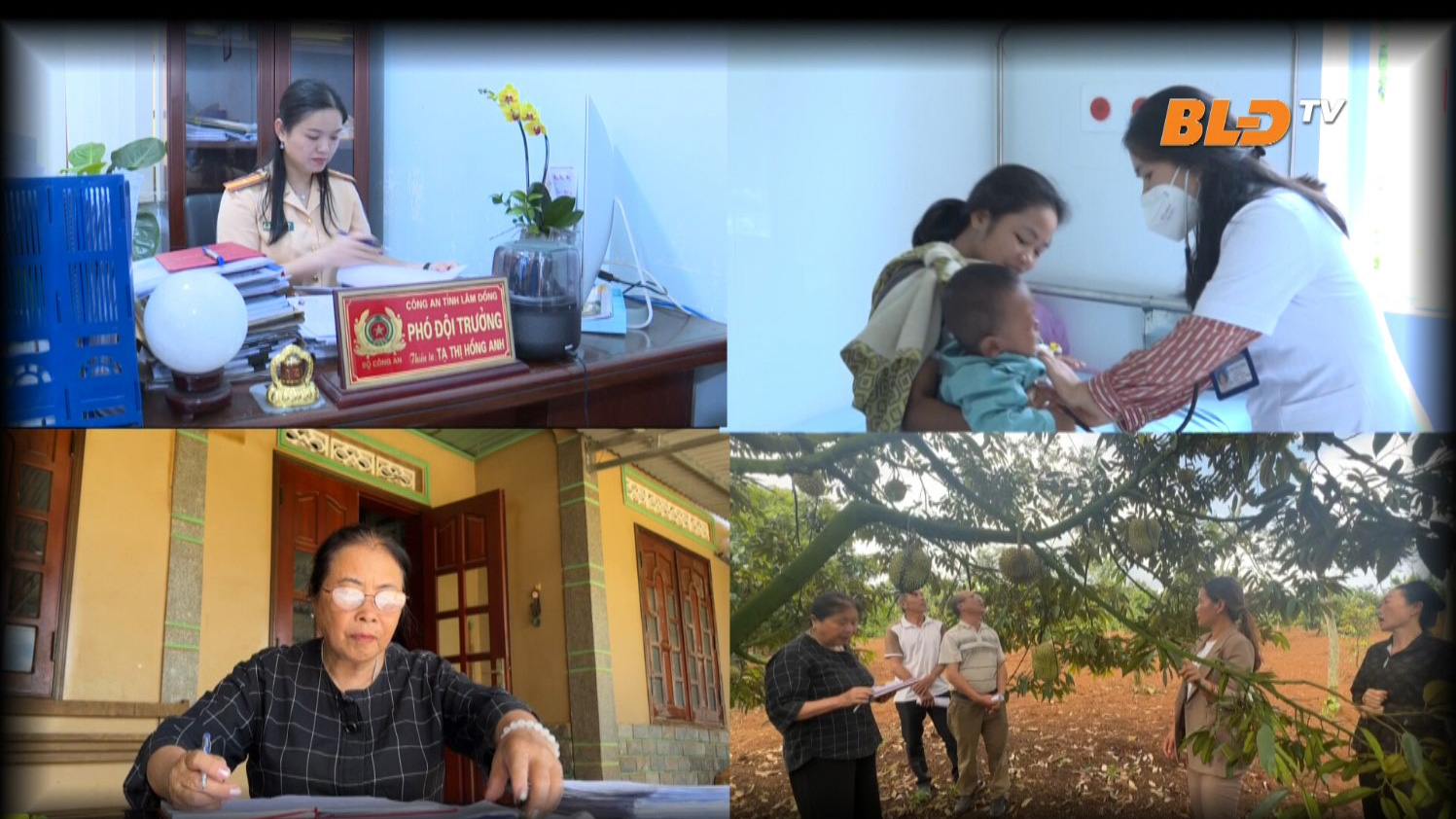 Những cánh chim không mỏi