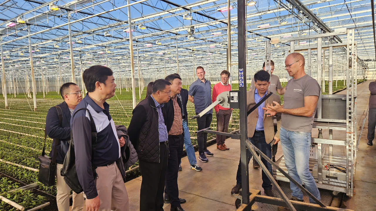 Cơ hội hợp tác phát triển ngành công nghiệp hoa Đà Lạt
