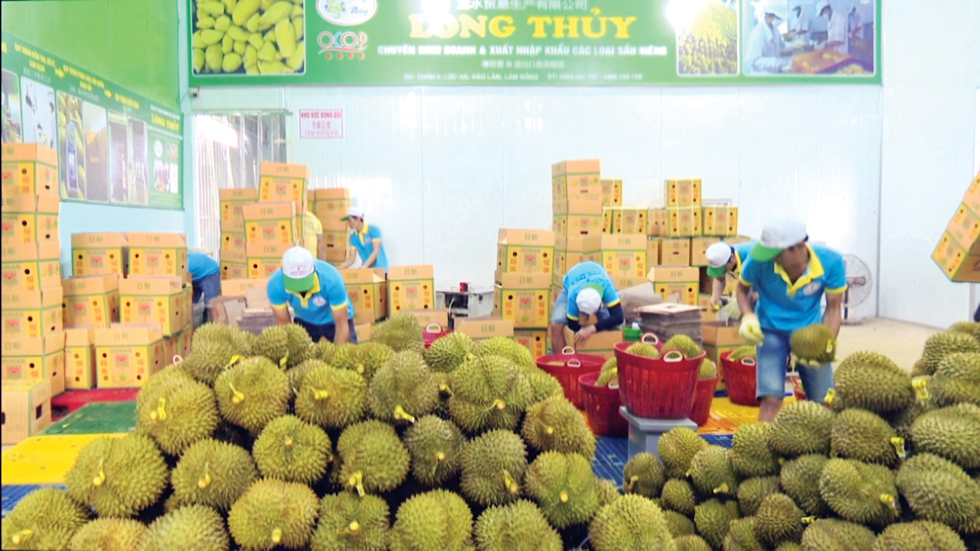 HƯỚNG TỚI KỶ NIỆM 30 NĂM NGÀY THÀNH LẬP HUYỆN BẢO LÂM: Nông thôn mới - sức sống mới nền nông nghiệp