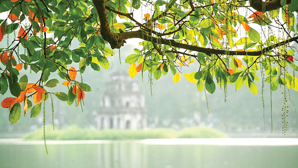Cảm xúc tháng Mười