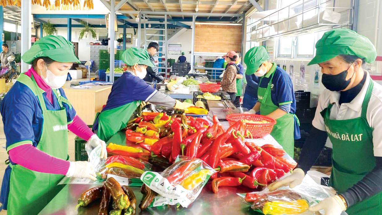 Để không còn tái diễn giả mạo nông sản Đà Lạt (Bài 1)
