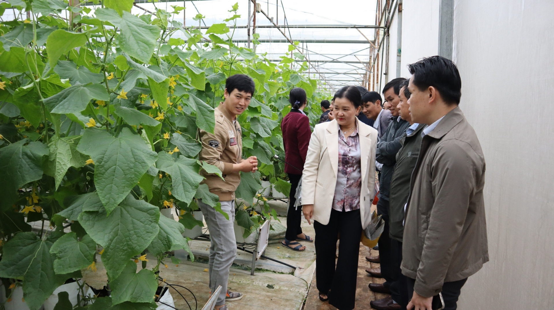 Cán bộ quy hoạch Ủy viên Ban Chấp hành Đảng bộ tỉnh nghiên cứu thực tế tại huyện Đức Trọng