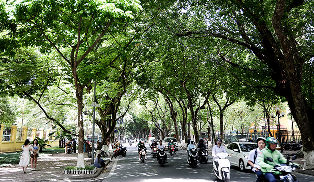 Thời tiết ngày 28/11: Bắc Bộ ngày nắng, Tây Nguyên và Nam Bộ có mưa dông vào chiều tối