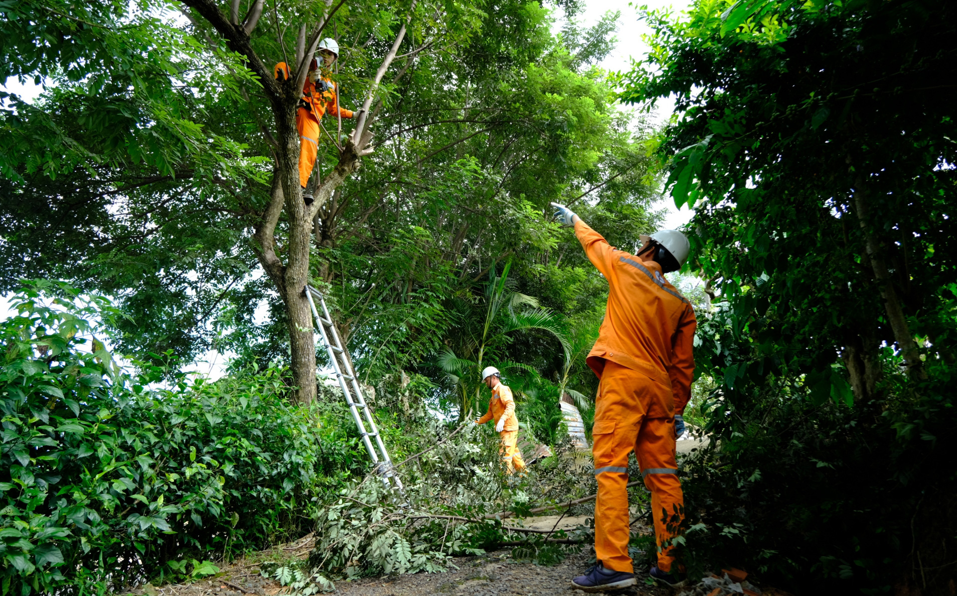 Cảnh báo tình trạng đấu nối, trộm cắp điện