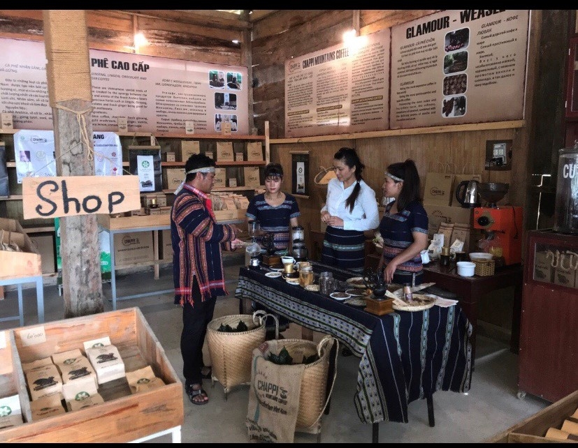 50 ha cà phê arabica buôn làng đạt tiêu chuẩn hữu cơ