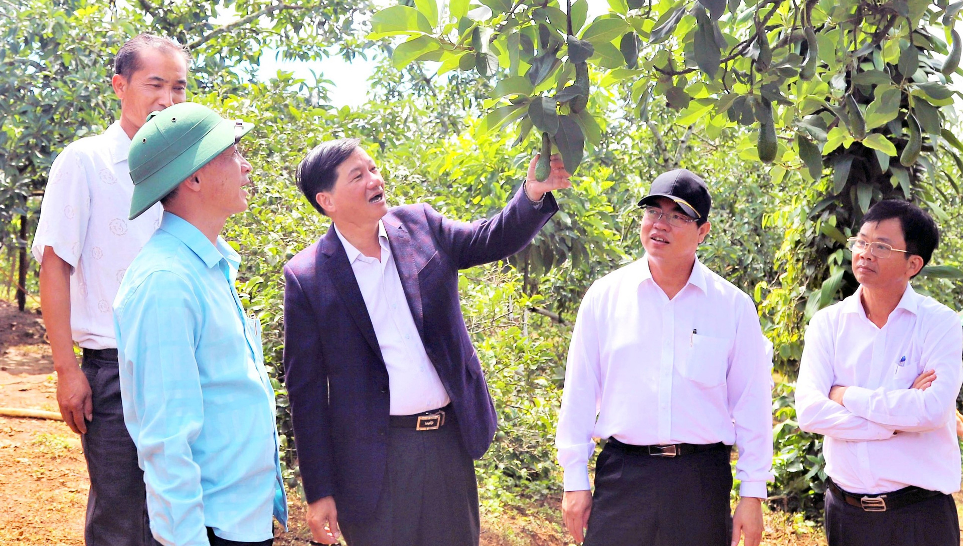 NỬA NHIỆM KỲ THỰC HIỆN NGHỊ QUYẾT ĐẠI HỘI ĐẢNG BỘ TỈNH LÂM ĐỒNG LẦN THỨ XI: Phát triển, đổi mới, sáng tạo (Bài cuối)