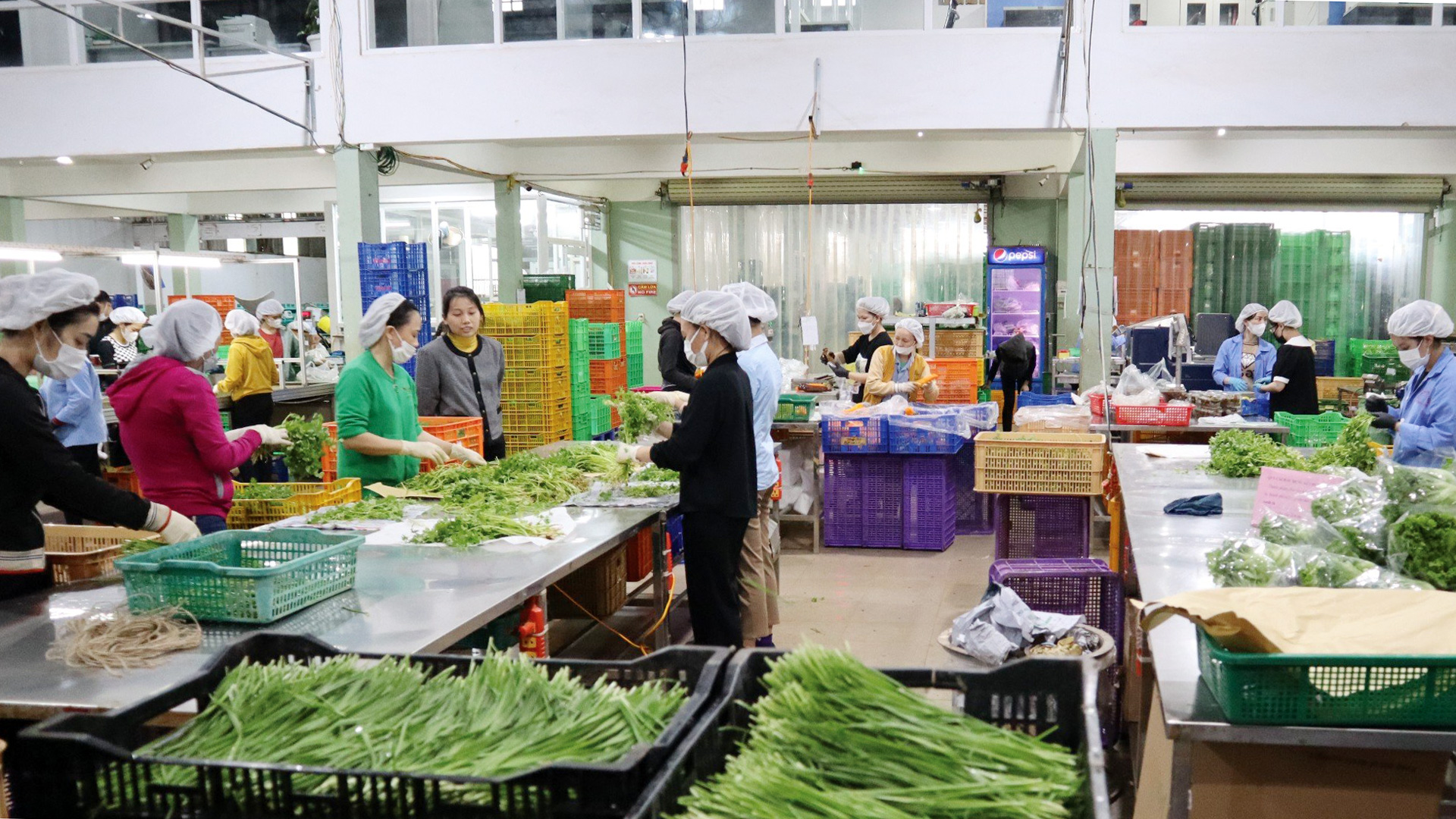 Ðức Trọng: Kinh tế - xã hội trên đà phục hồi tích cực