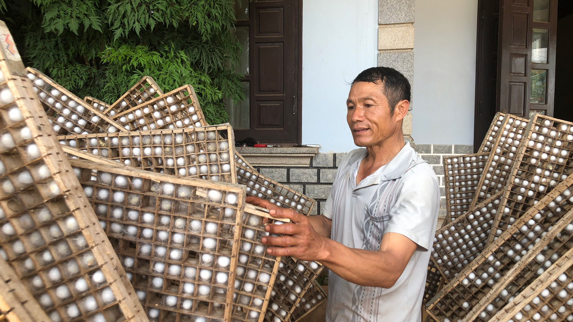 Trù phú làng nghề tằm tang