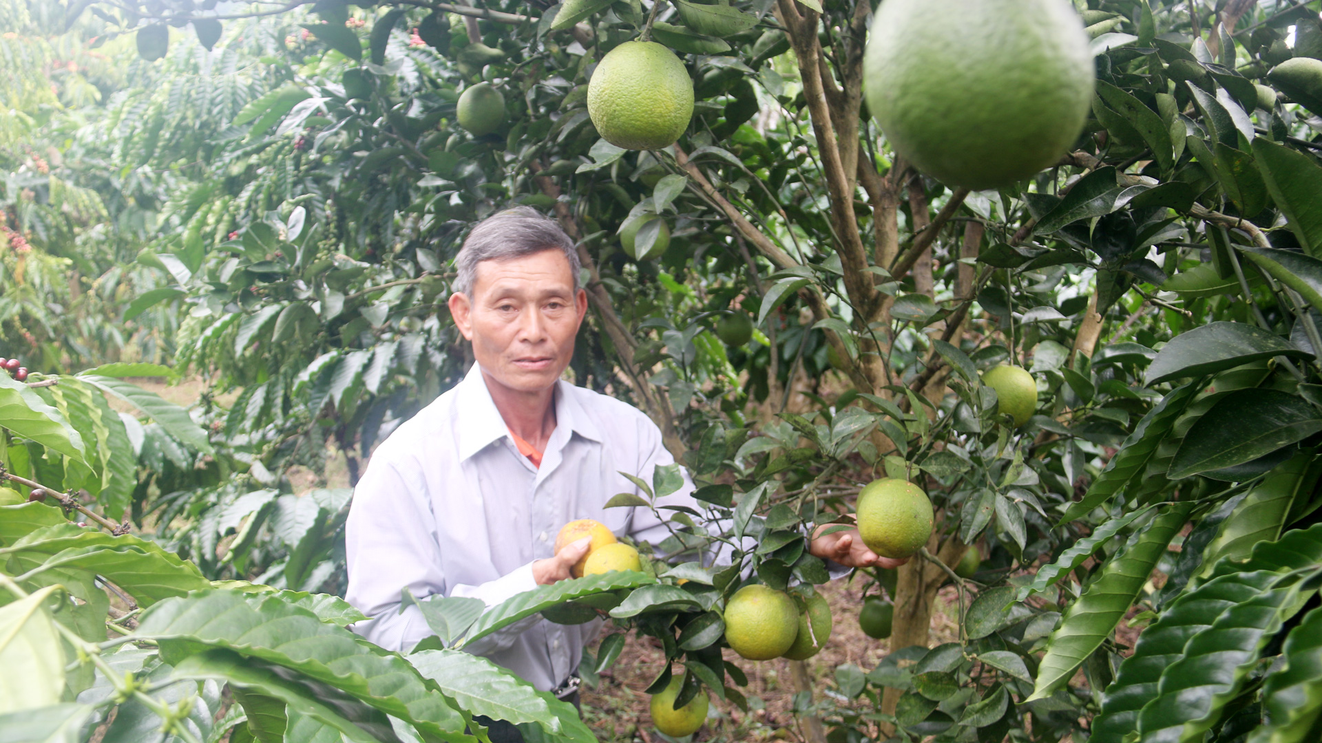 Gương sáng học tập và làm theo Bác