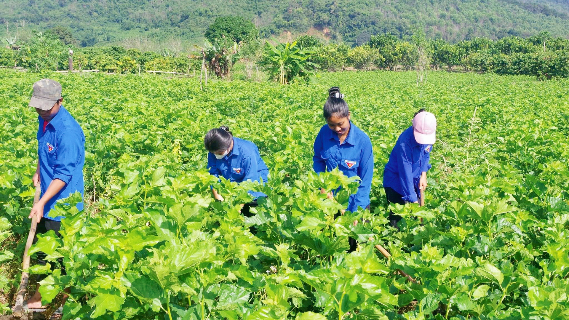 Tuổi trẻ Đam Rông xung kích, tình nguyện vì cộng đồng