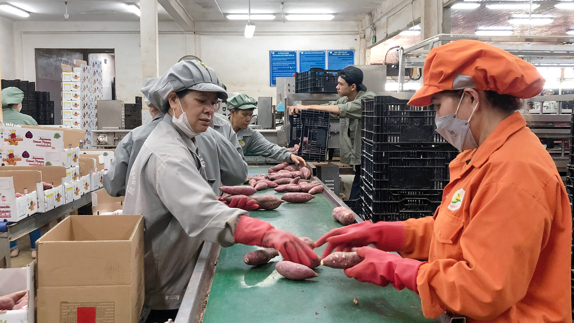 CÔNG ĐOÀN CƠ SỞ CÔNG TY CỔ PHẦN VIÊN SƠN: Nâng cao chất lượng nguồn lao động là nhiệm vụ quan trọng