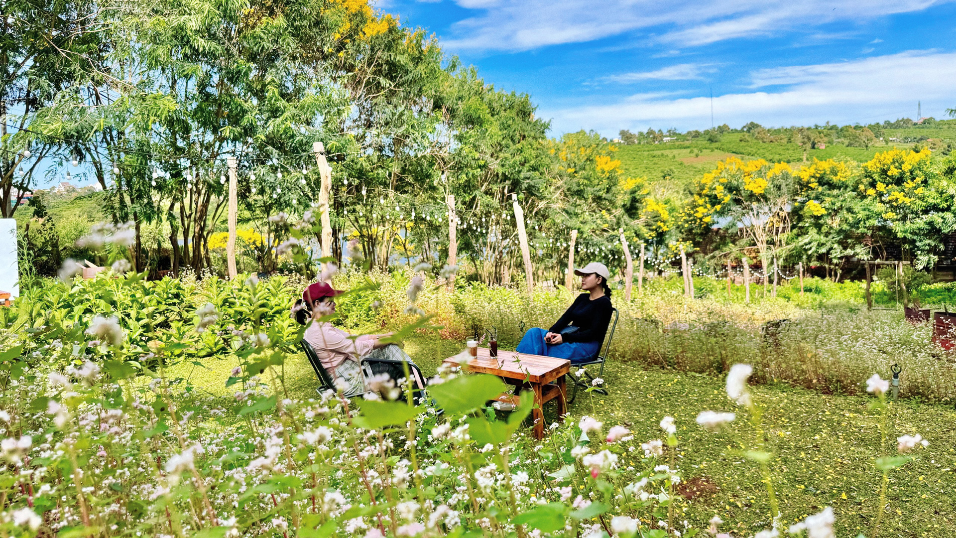 Giản dị Nhà của An
