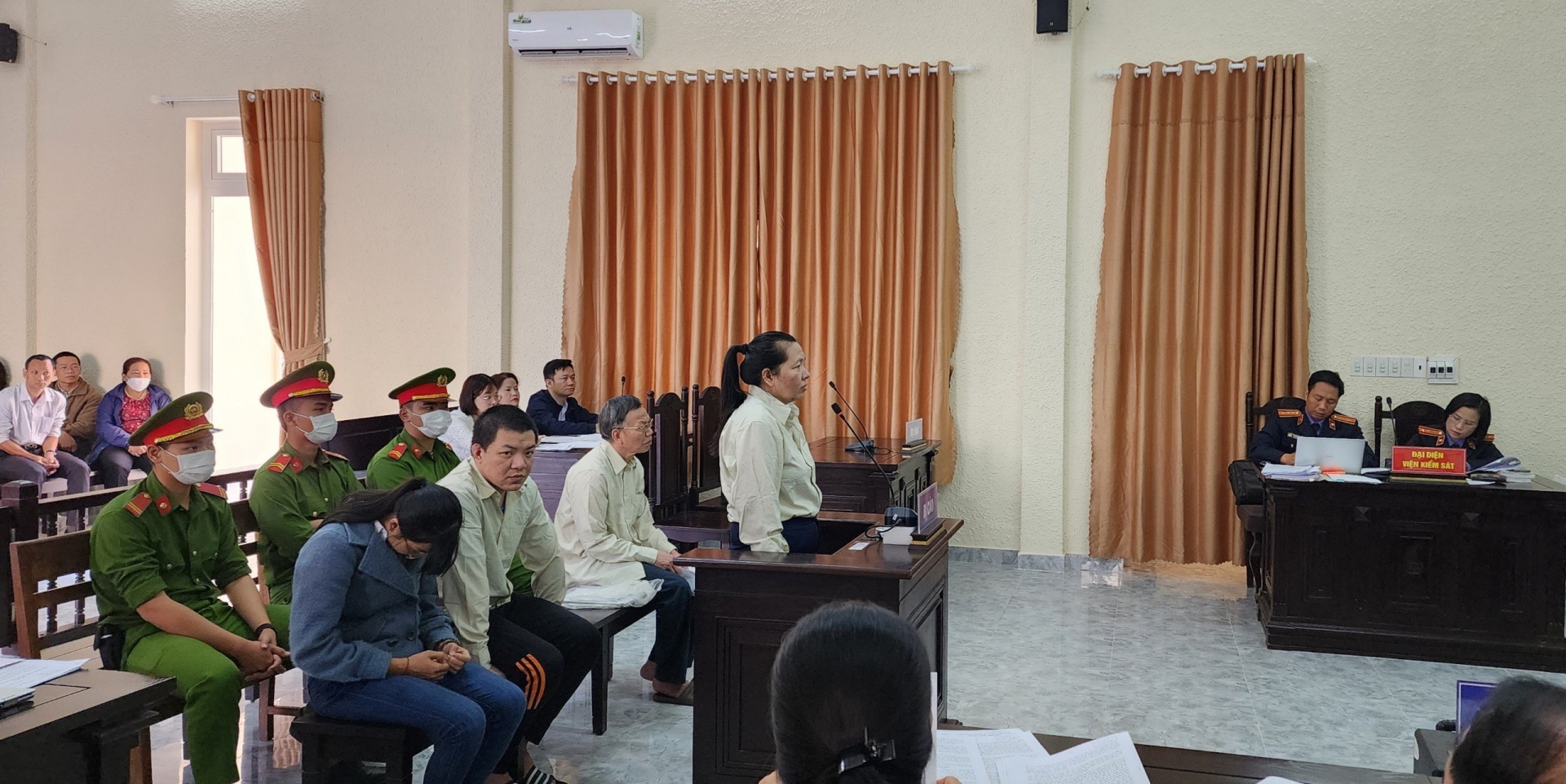 Lừa đảo chiếm đoạt trên 66,8 tỷ đồng, một phụ nữ lãnh án chung thân