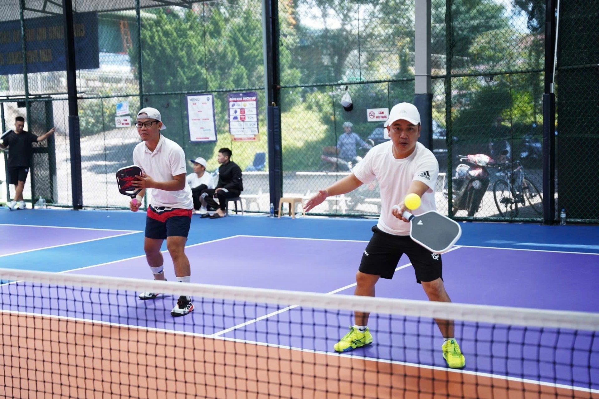 Di Linh tổ chức Giải Pickleball