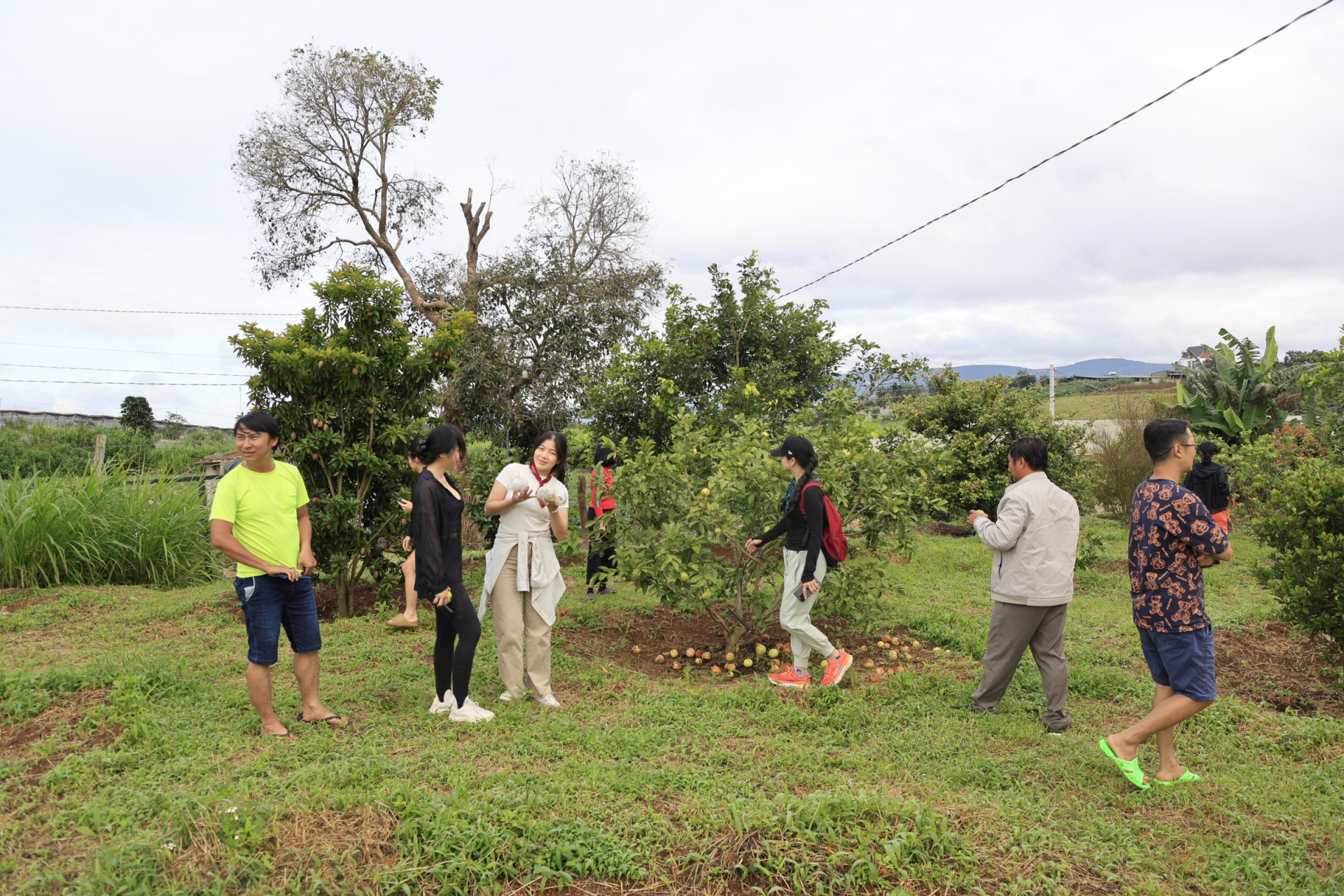 Mô hình chuỗi liên kết du lịch nông thôn đầu tiên trên địa bàn 3 huyện