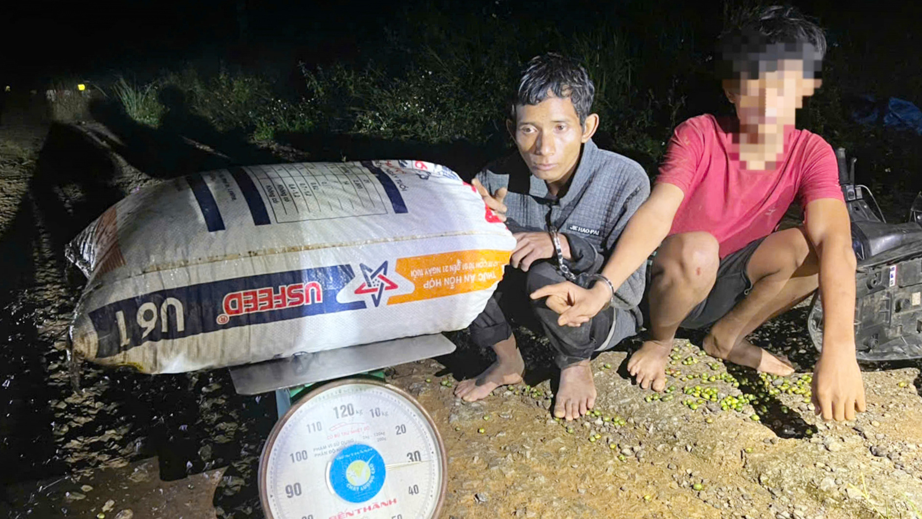 Bảo Lộc: Khởi tố, bắt tạm giam đối tượng hái trộm cà phê
