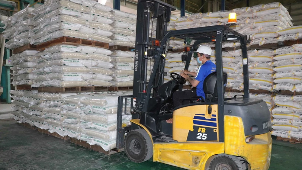 Xuất khẩu gạo Việt Nam vượt 8 triệu tấn với trị giá 5,05 tỷ USD