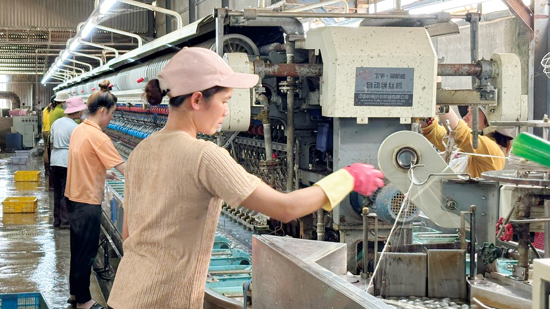 Đổi mới công nghệ đưa tơ thô xuất khẩu