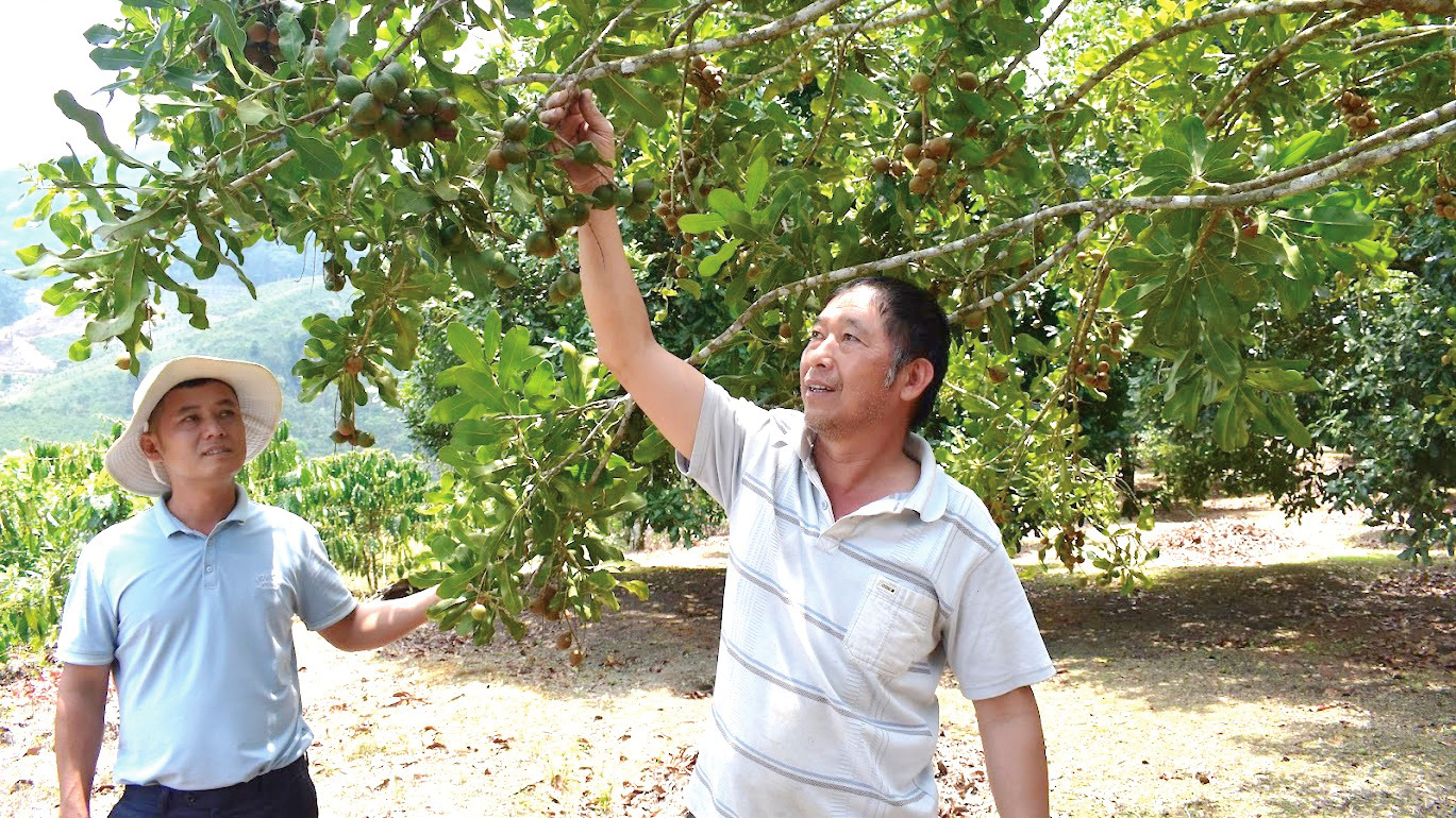 Đam Rông hướng đến 3 tiểu vùng phát triển kinh tế