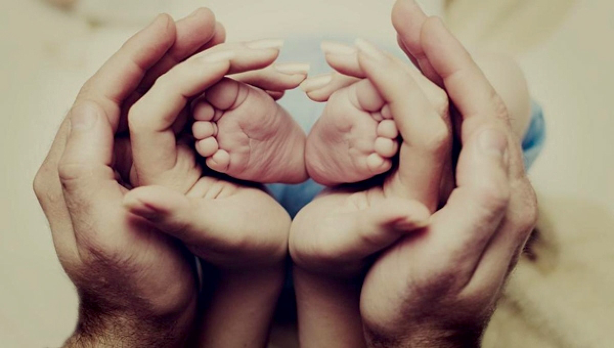 Đi qua những vòng tay ấm