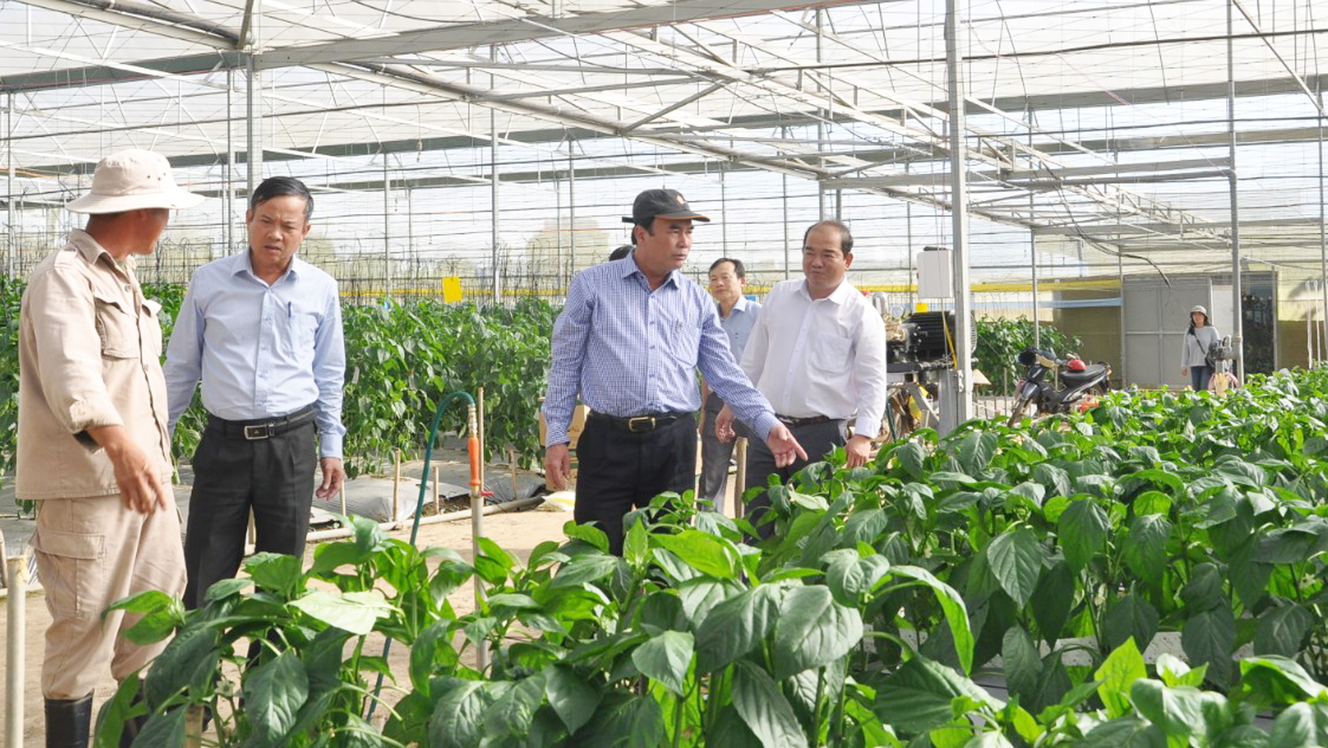 Kinh tế Đơn Dương sau nửa nhiệm kỳ