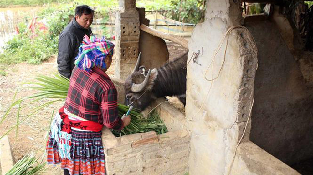 Thời tiết ngày 27/12: Bắc Bộ ngày nắng, trời rét