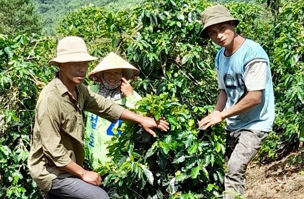 Đưng K’nớ nỗ lực vượt khó