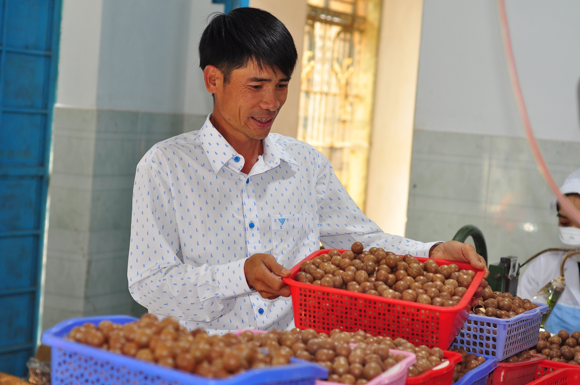 Di Linh: Hoàn thiện việc tạo lập nhãn hiệu chứng nhận các sản phẩm nông sản đặc trưng