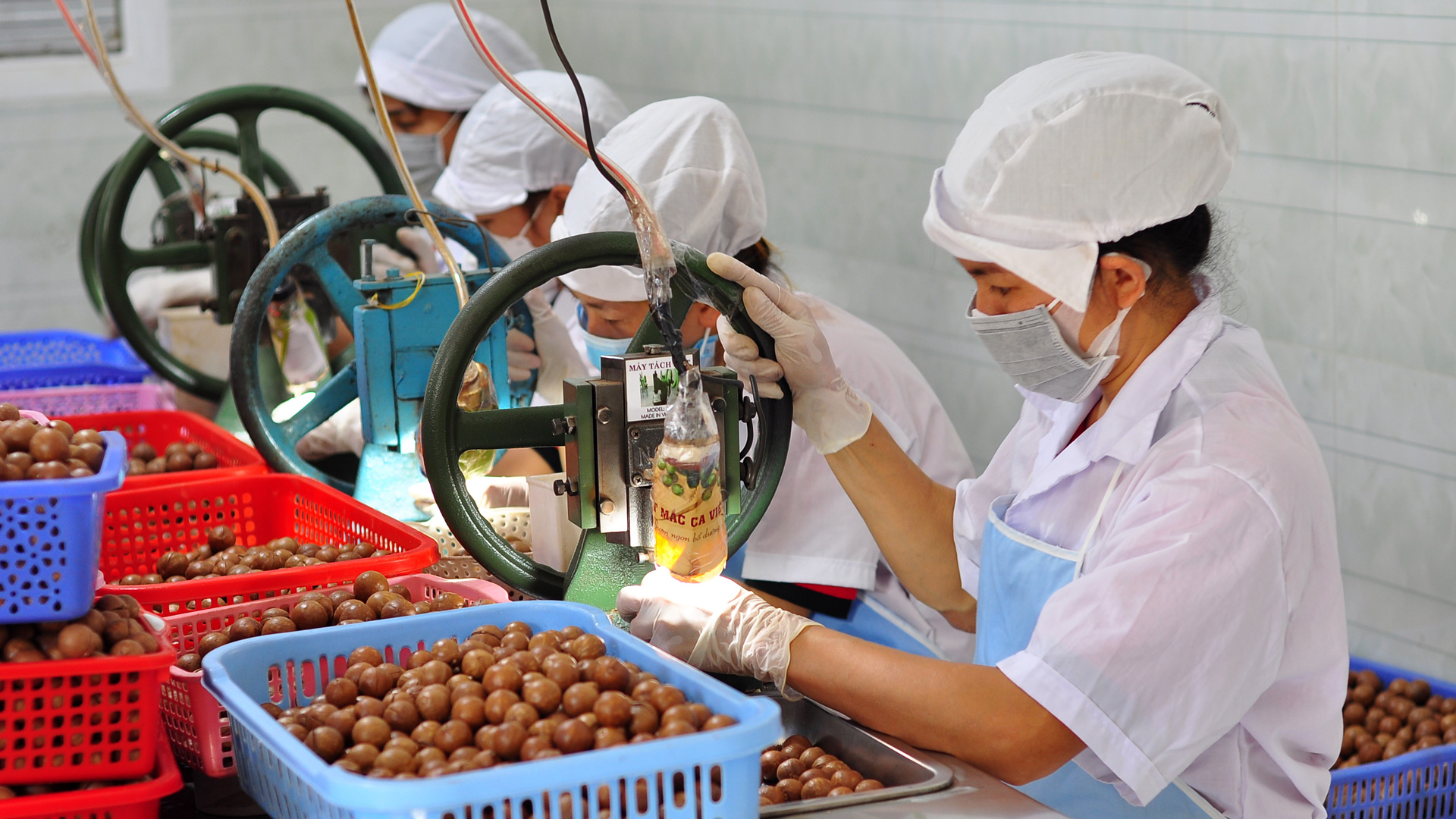 Di Linh: Chủ động sớm các phương án thu ngân sách năm 2024
