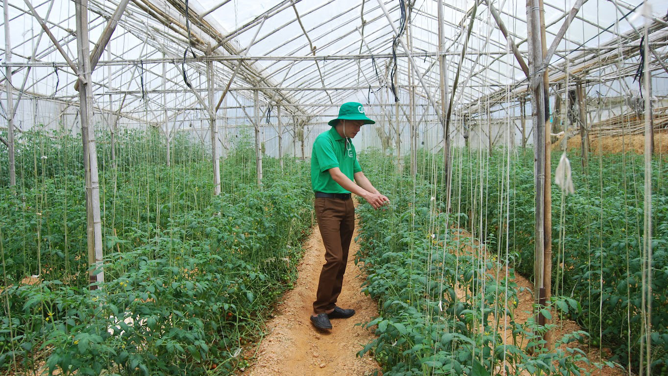 Để giảm thiểu các yếu tố đầu vào trong sản xuất nông nghiệp