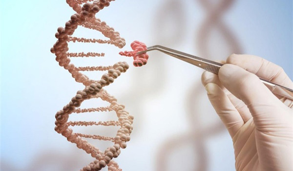 Công cụ chỉnh sửa gene giúp cây trồng thích ứng với biến đổi khí hậu