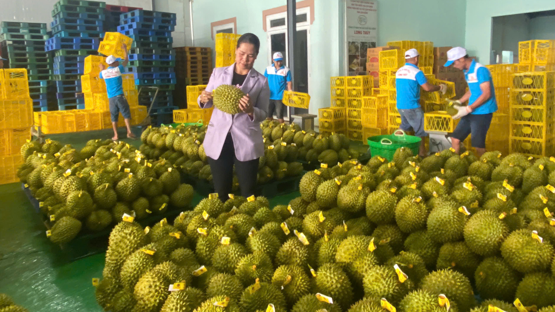 Hướng tới kỷ niệm 30 năm Ngày thành lập huyện Bảo Lâm: Duy trì mức tăng trưởng vượt kế hoạch