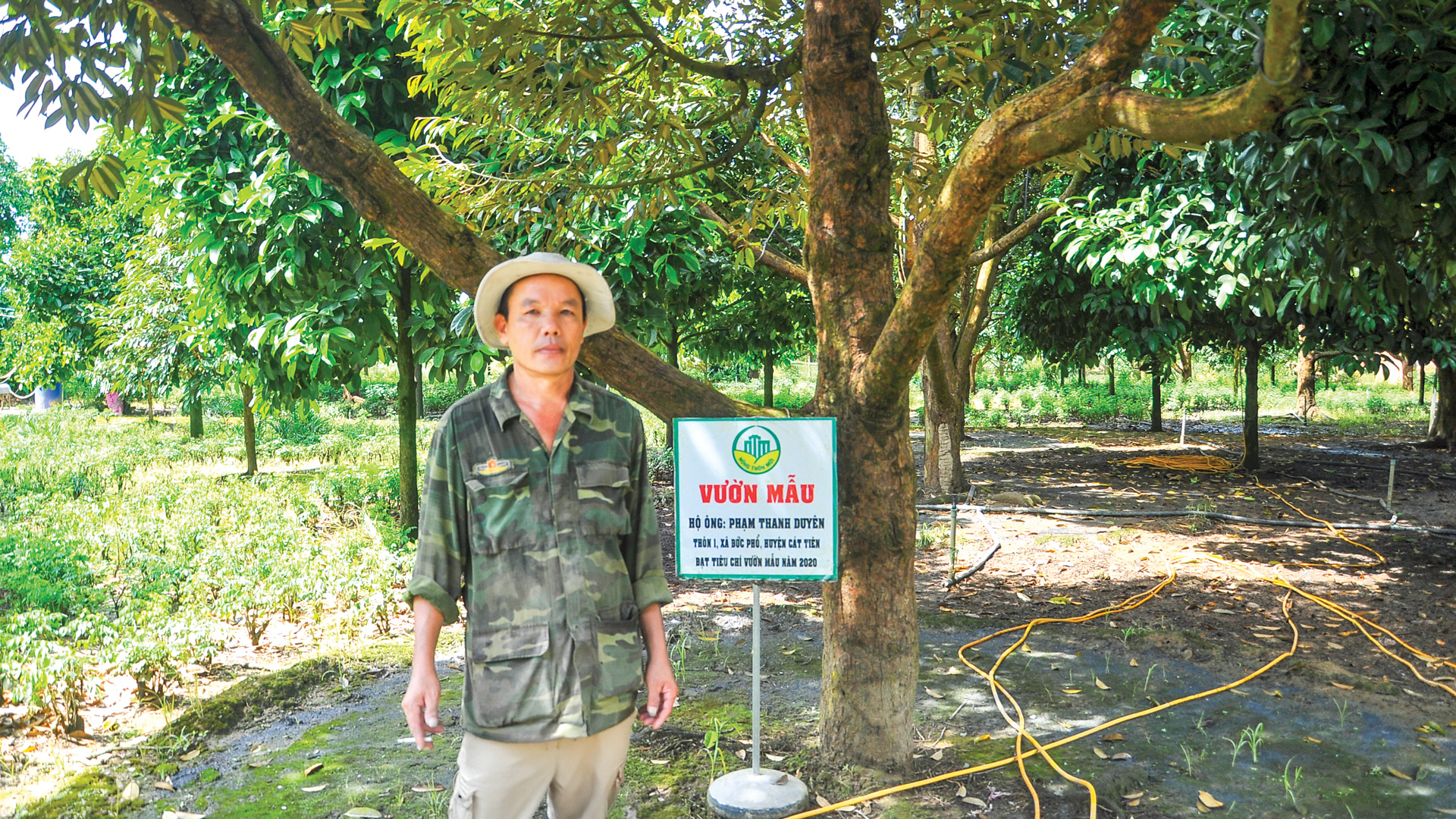THÀNH LẬP HUYỆN ĐẠ HUOAI MỚI : Hướng đến một vùng sản xuất nông nghiệp sạch