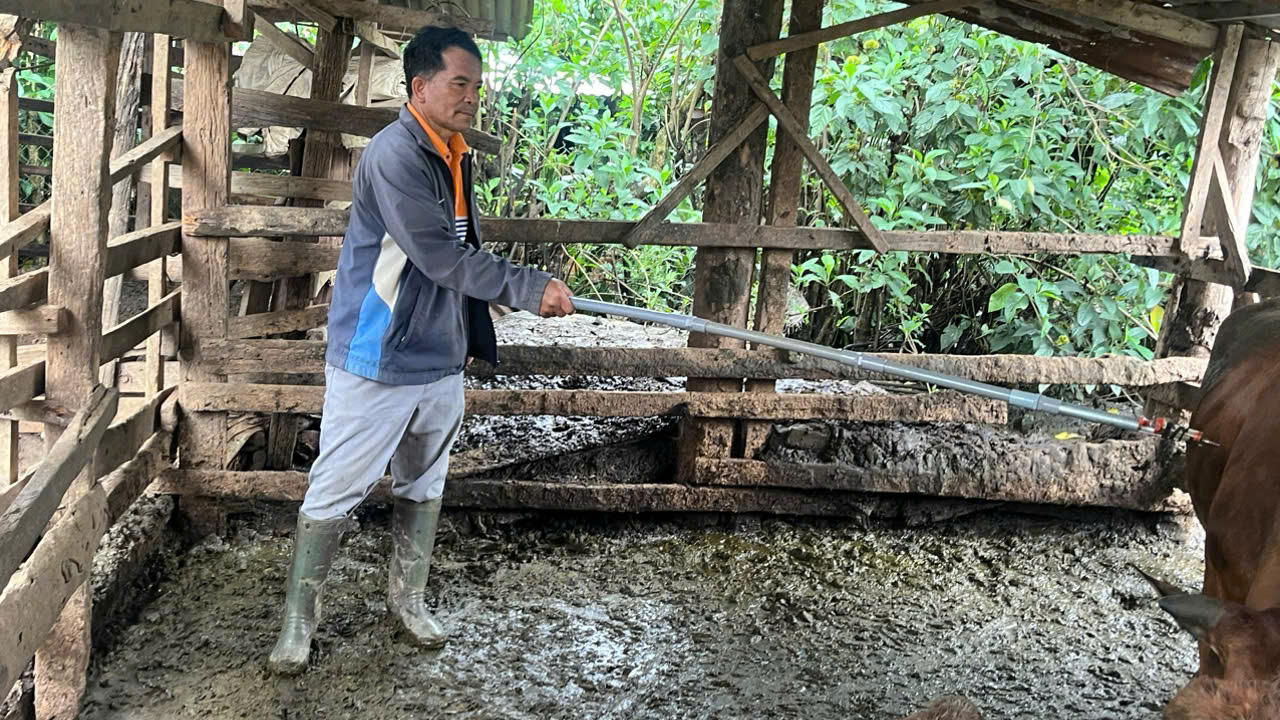K'Phàng, người cán bộ thú y năng động
