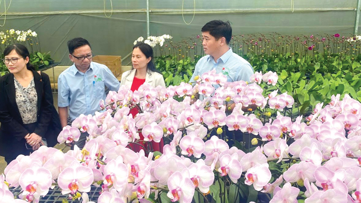 Chào mừng Festival Hoa Đà Lạt lần thứ X - năm 2024: Hình thành trung tâm sản xuất hoa hàng đầu Đông Nam Á