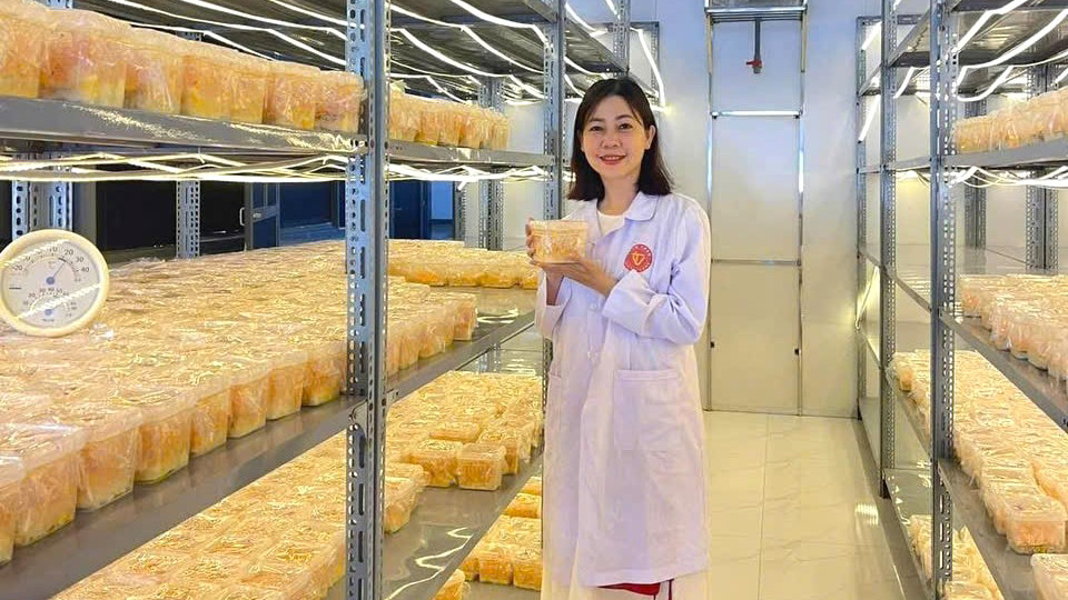 Du lịch canh nông với đông trùng hạ thảo Thiên Vương