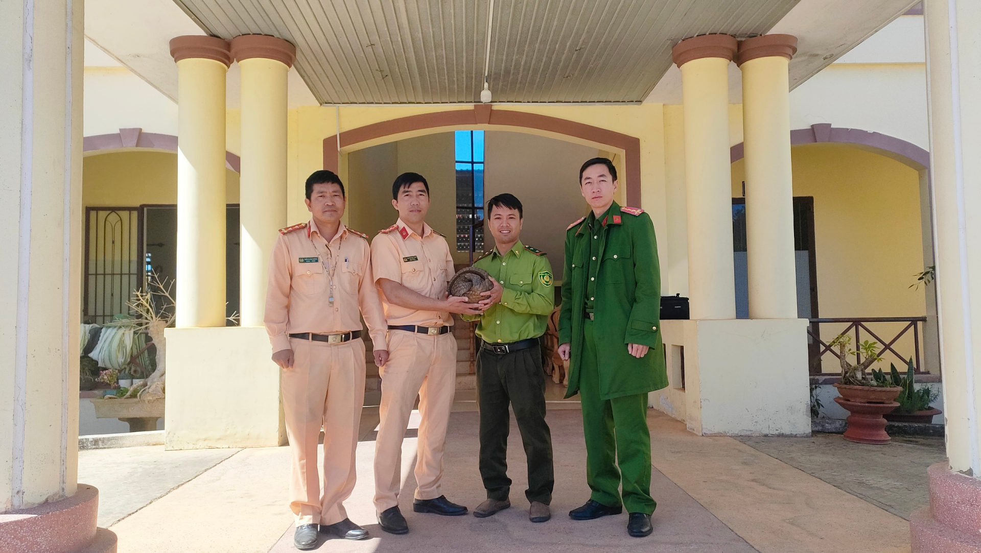 Bàn giao cá thể tê tê cho lực lượng kiểm lâm