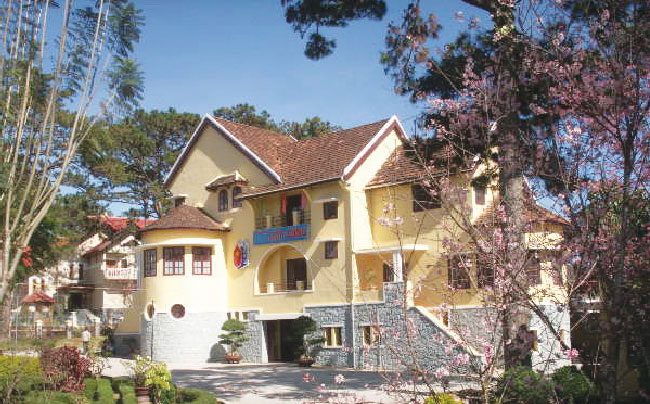 Hoa, thông và biệt thự.